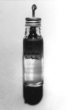 27ml MaCartney bottle filled with nutrient liquid and 80 million bacteria, 1999.